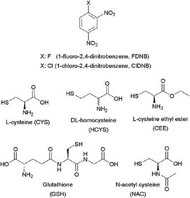 Kinetics and Reaction Mechanism of Biothiols Involved in SNAr Reactions: An Experimental Study